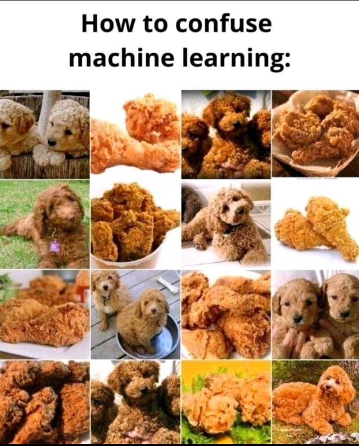 How to Confuse Machine Learning
